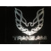 Trans Am - Plexiglas Diode skilt