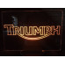 Triumph - Plexiglas Diodeskilt